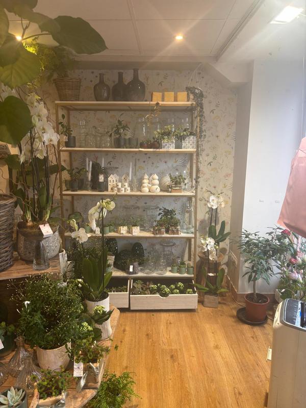 Local commercial - 71 m²