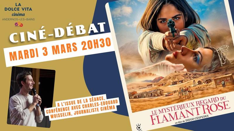 Ciné Débat "Le mystérieux regard du flamant rose"