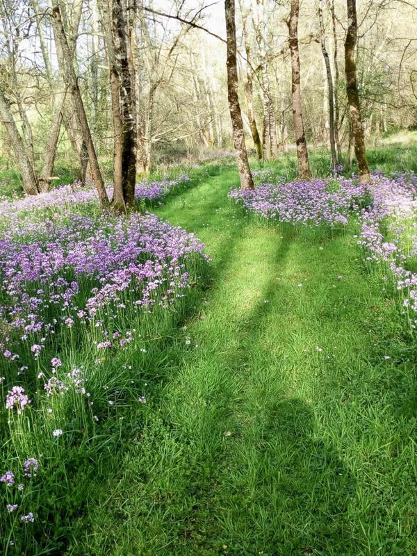 Viager - Maison - 170 m² - 5 pièces