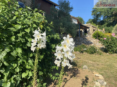 Maison - 260 m² - 9 pièces