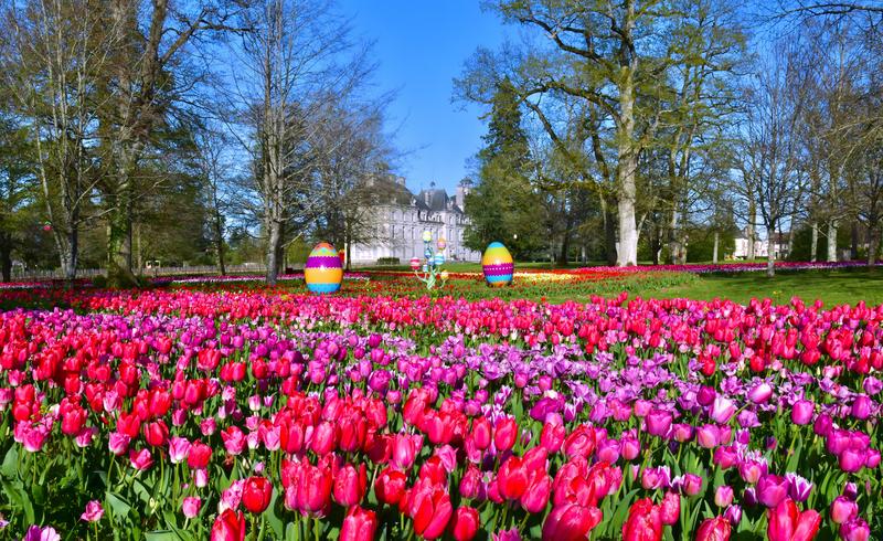 Jardins des Tulipes du château de Cheverny