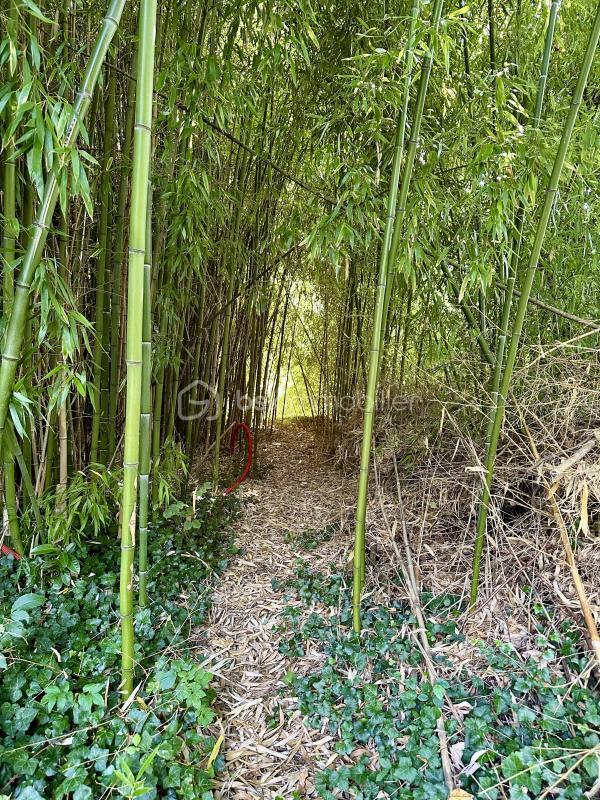 Terrain - 10 000 m²