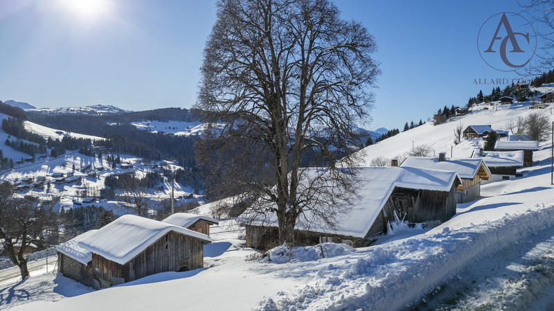 Châlet - 355 m² - 1 pièce