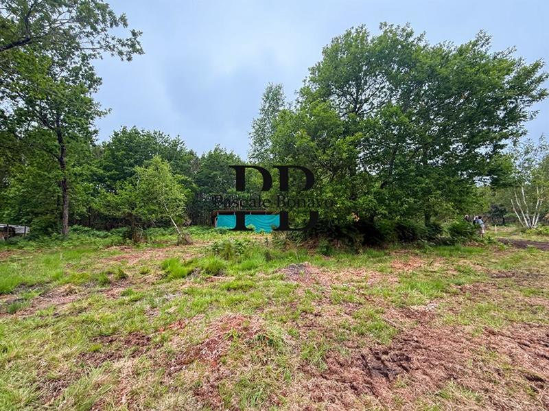 Terrain de loisirs - 2 327 m²