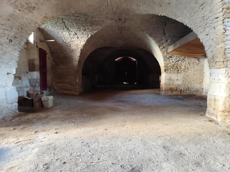 Viager - Propriété - 407 m² - 16 pièces