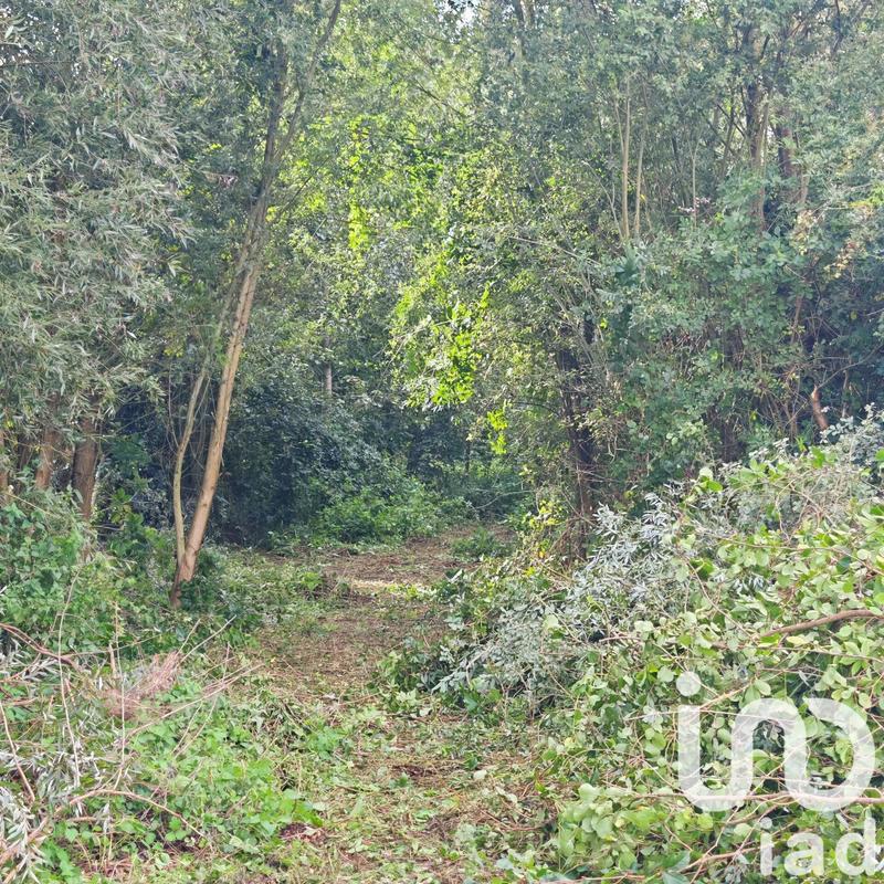 Maison - 163 m² - 5 pièces