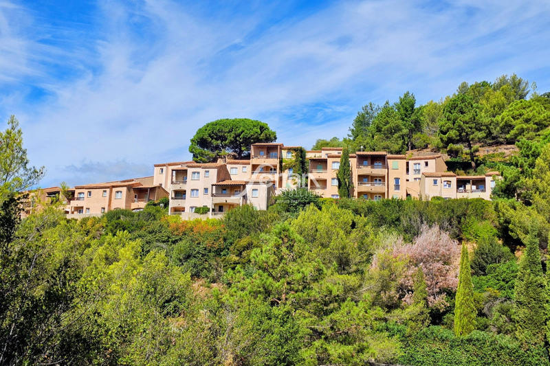 Appartement - 36 m² - 2 pièces