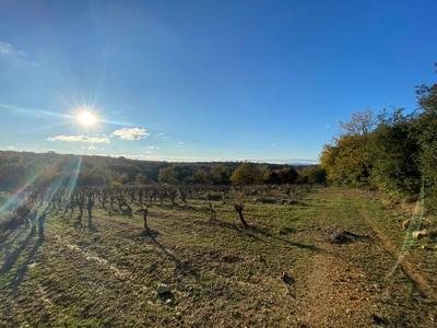 Terrain agricole - 7 770 m²