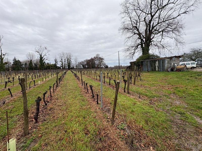 Maison - 277 m² - 3 pièces