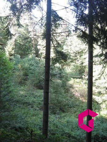 Terrain de loisirs - 6 571 m²