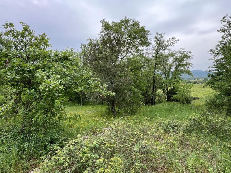 Terrain constructible - 1 594 m²