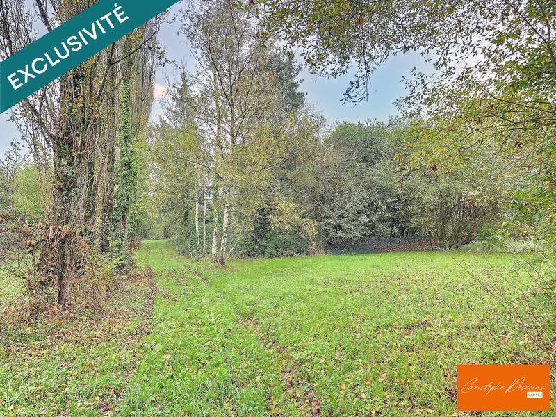 Terrain - 13 000 m²