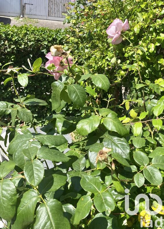 Maison de ville - 156 m² - 6 pièces