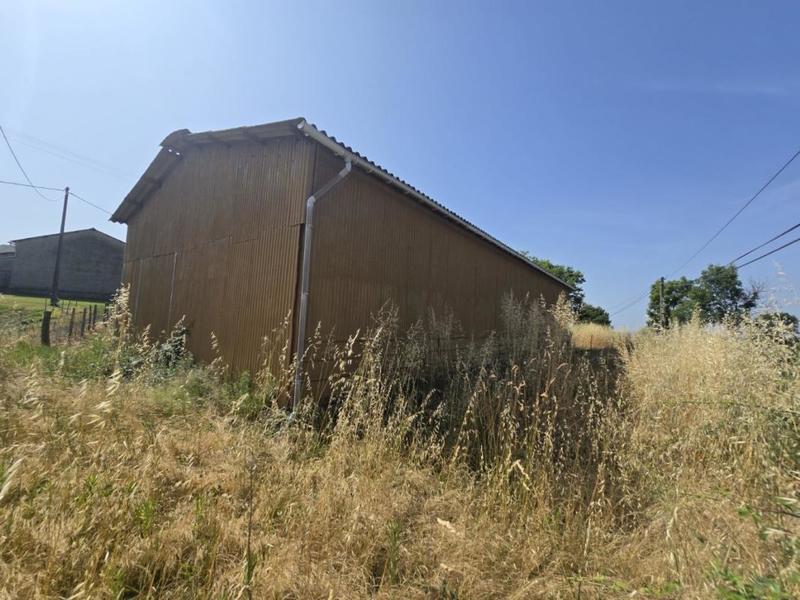 Local d'activité / Entrepôt - 180 m² - 1 pièce