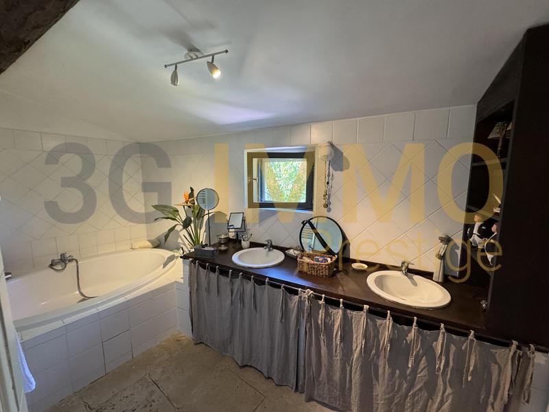 Moulin - 182 m² - 9 pièces