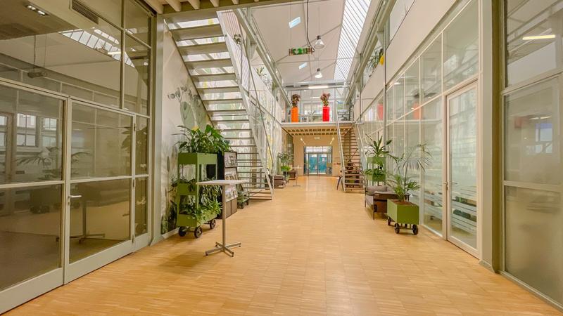 Local d'activités - 708 m²