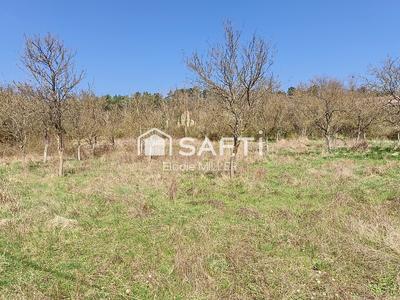 Terrain agricole - 3 624 m²