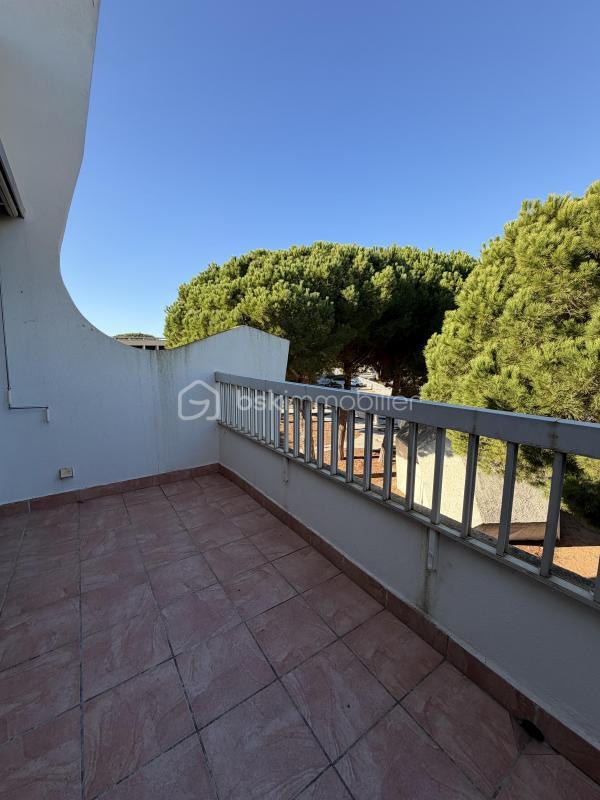 Studio - 24 m² - 1 pièce