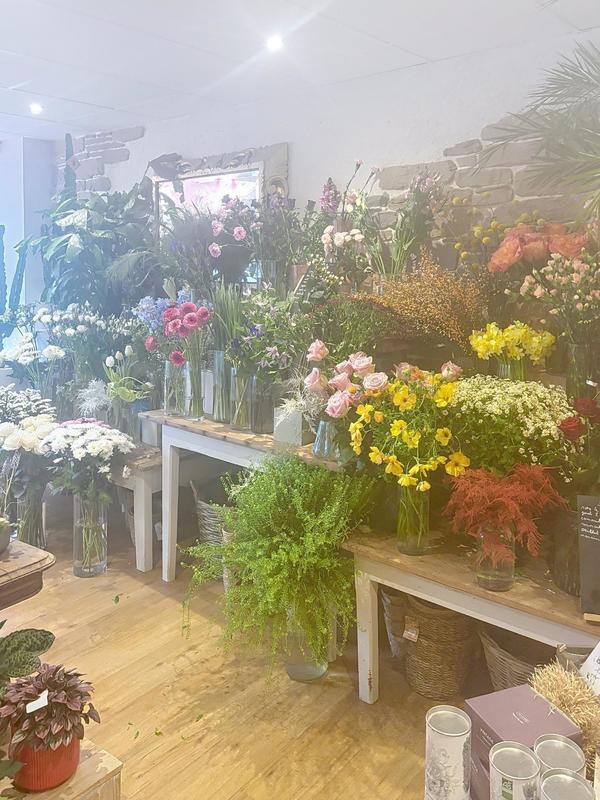 Local commercial - 71 m²