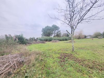 Terrain constructible - 3 099 m²