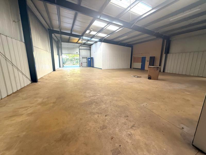 Local commercial - 560 m²