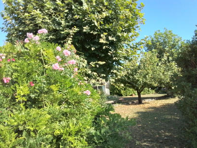 Propriété - 275 m² - 8 pièces