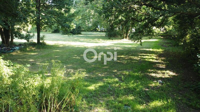 Terrain constructible - 1 236 m²