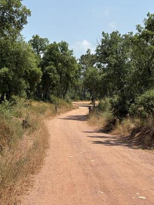 Terrain agricole - 80 000 m²