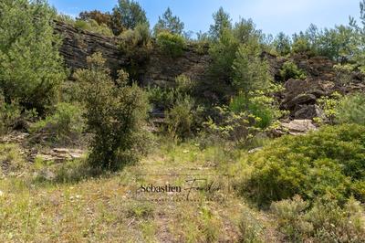 Terrain agricole - 7 720 m²