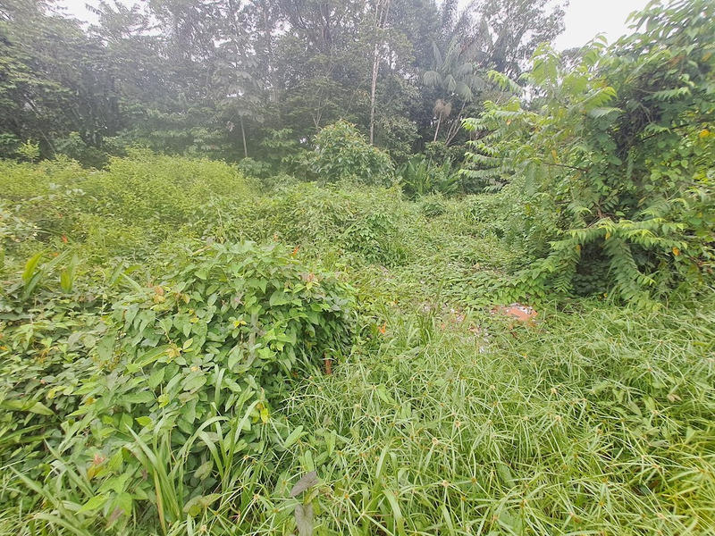 Terrain constructible - 3 444 m²