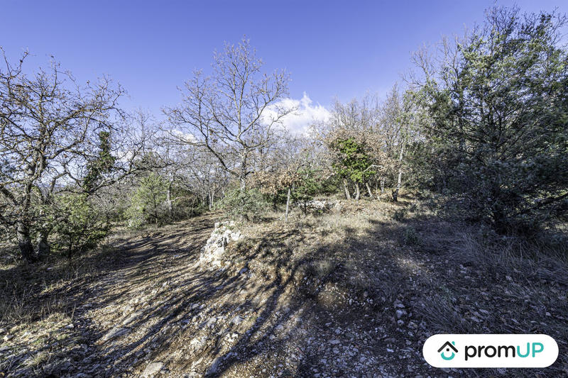 Terrain de loisirs - 28 250 m²