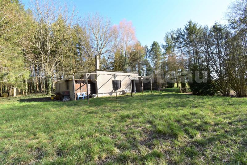 Terrain - 17 000 m²