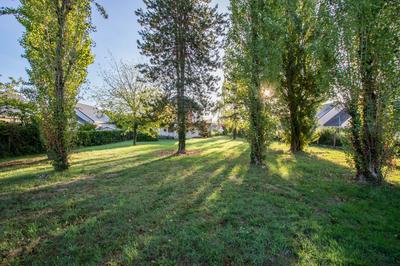 Terrain - 659 m²