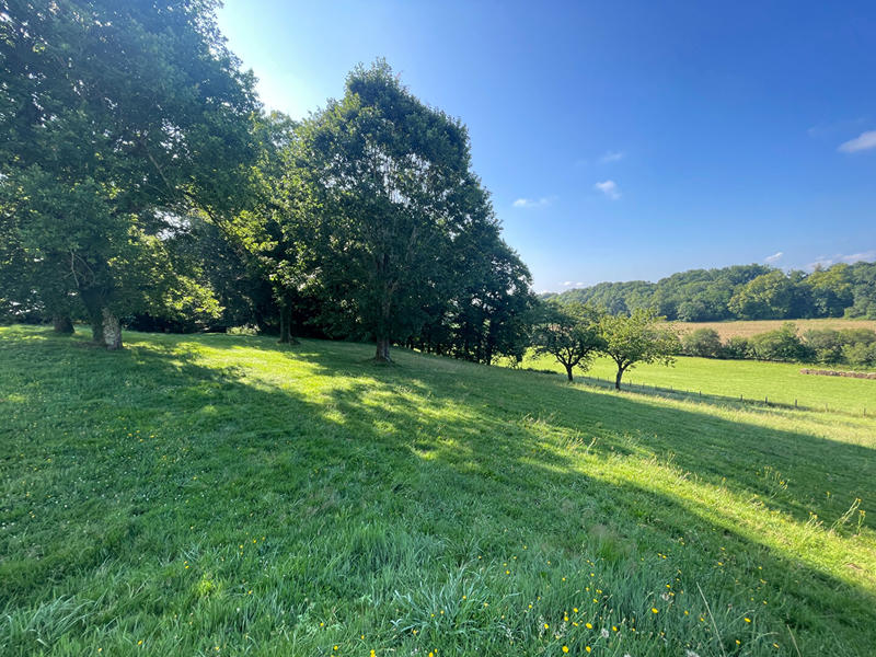 Maison - 260 m² - 8 pièces