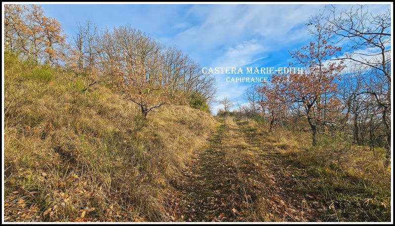 Terrain constructible - 9 886 m²