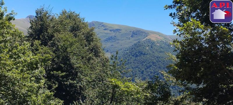 Grange - 60 m² - 2 pièces