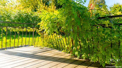 Maison - 196 m² - 5 pièces