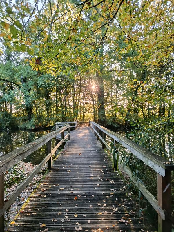 Rando Decouverte à Chateauneuf Sur Loire