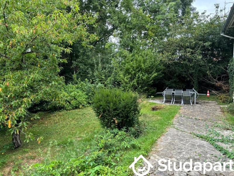 Chambre - 20 m² - 1 pièce