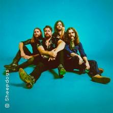 The Sheepdogs