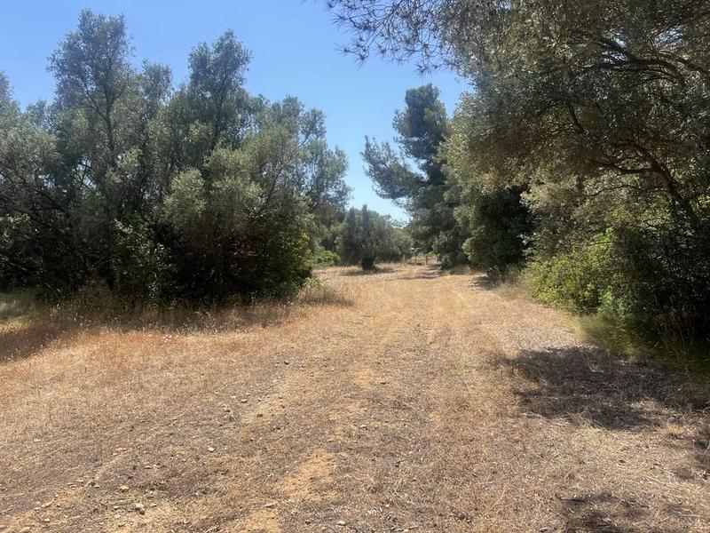 Maison - 230 m² - 7 pièces