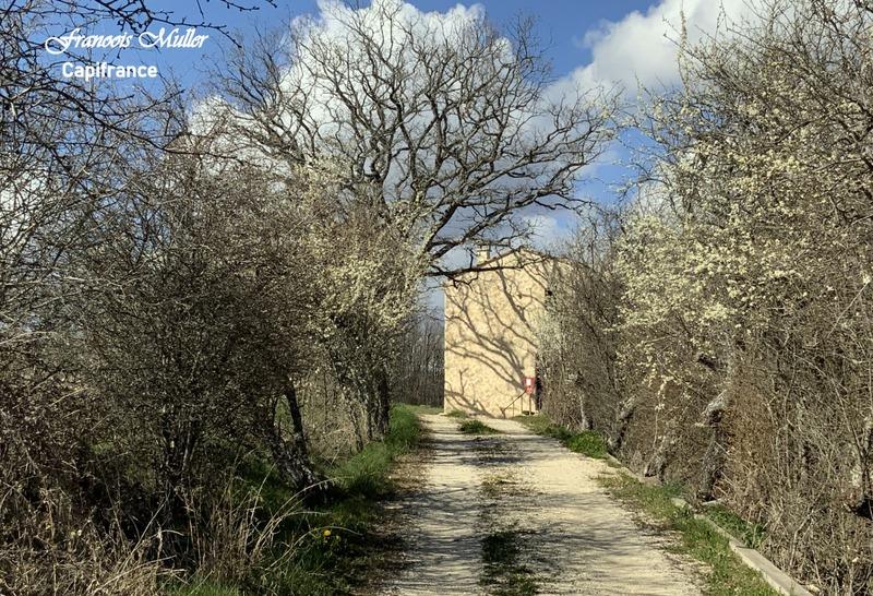 Mas - 268 m² - 12 pièces