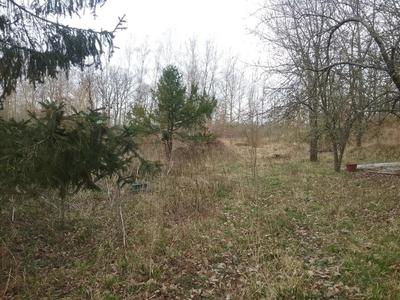 Terrain - 15 500 m²