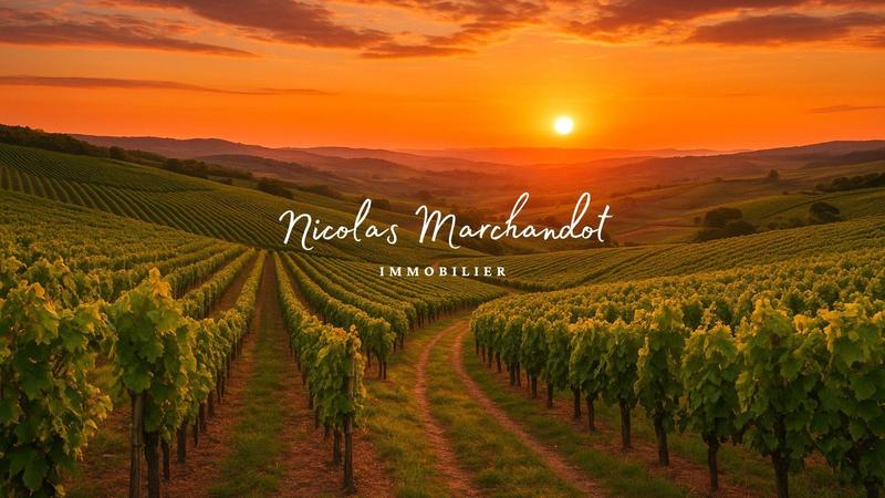 Local commercial - 130 900 m²