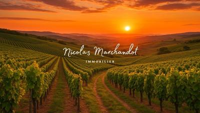 Local commercial - 130 900 m²