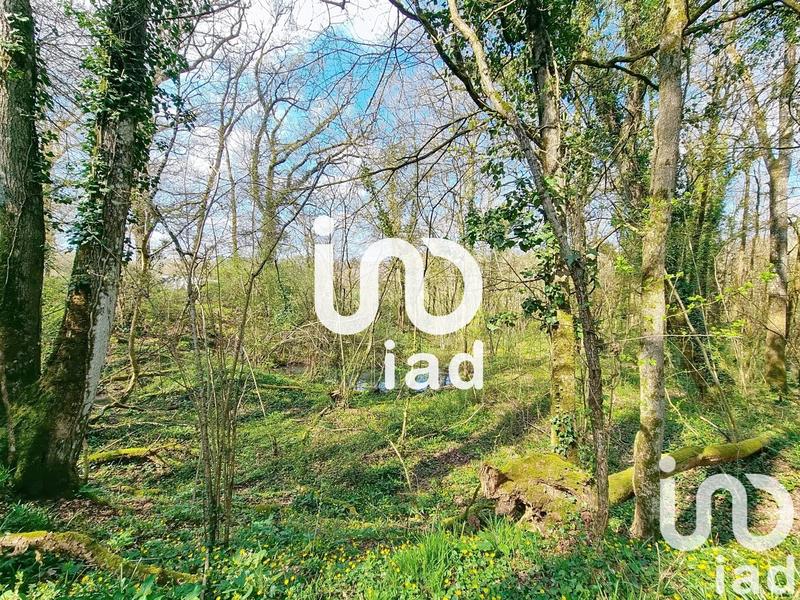 Maison de campagne - 199 m² - 8 pièces