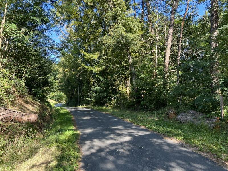 Terrain - 14 696 m²