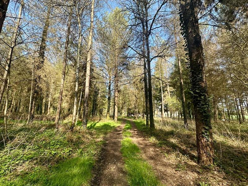 Maison - 109 m² - 4 pièces