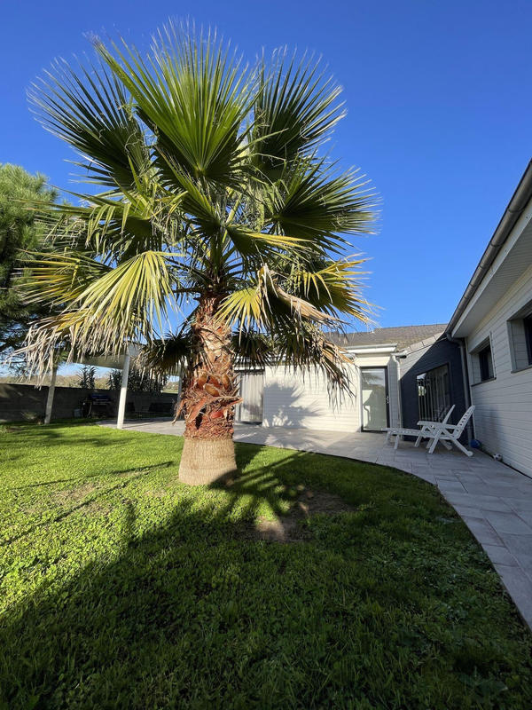 Maison - 165 m² - 6 pièces