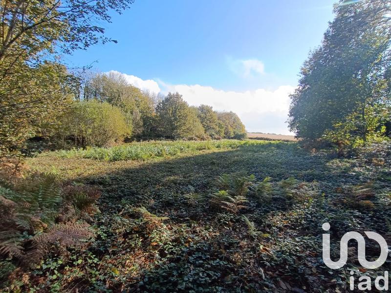 Maison de campagne - 150 m² - 5 pièces